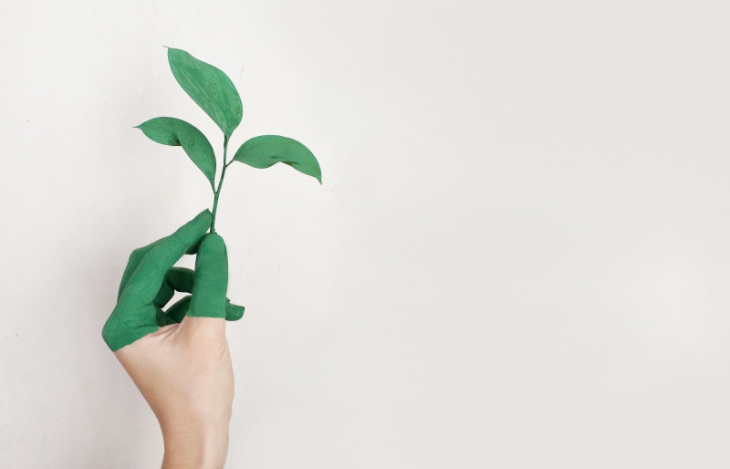 half-painted green hand holding a green plant