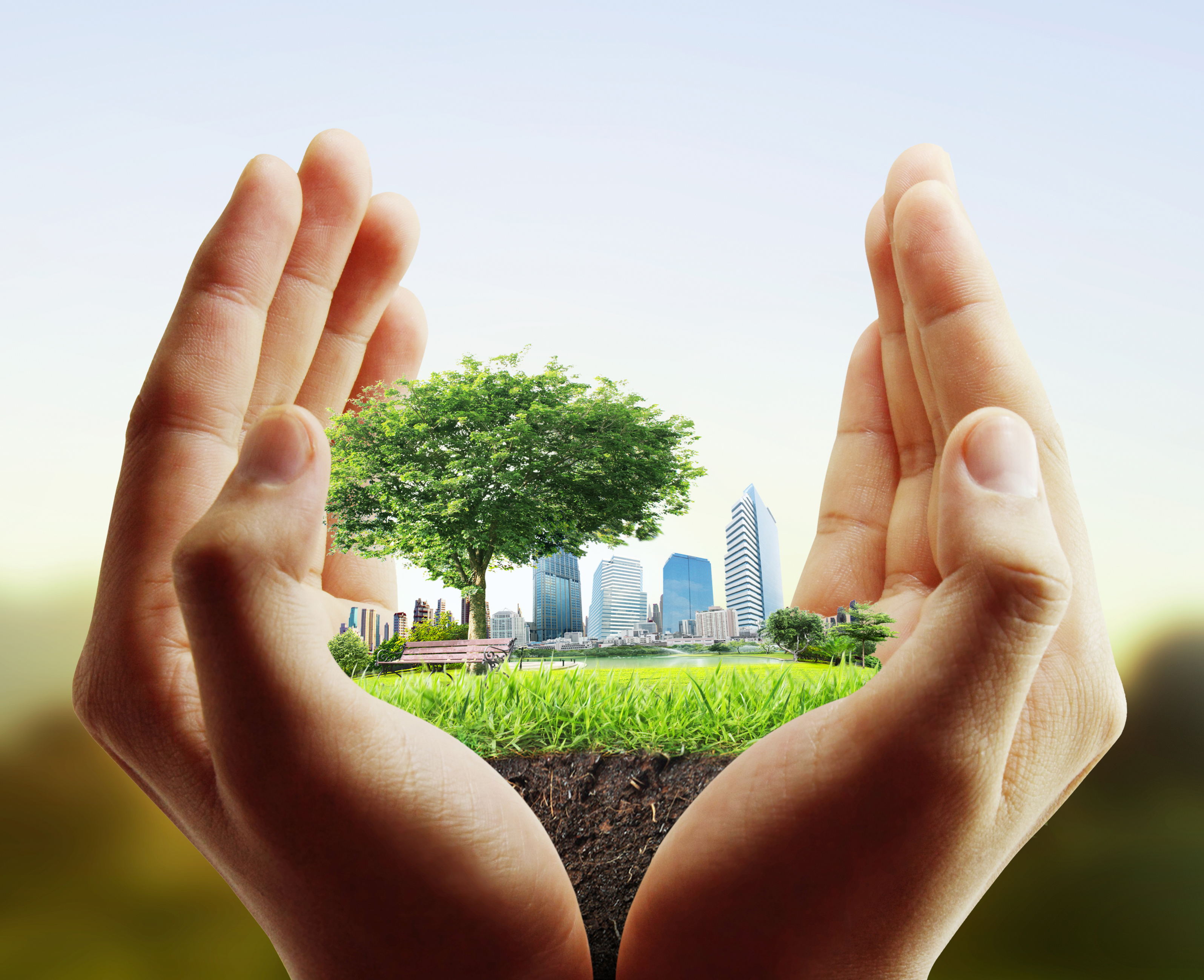 Сохранение окружающей среды экология. Экология. Экология защита природы. Сохранение природы. Экология картинки.